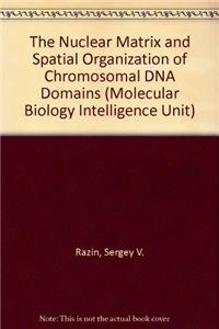 the nuclear matrix and spatial organization of chromosomal dna domains molecular biology intelligence unit