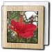 The Wealth of May - bunga raya, flower, flowers, hibiscus, hibiscus rosa sinensis, plant, plants - 6 Inch Tile Napkin Holder