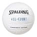 Sporting Goods : Spalding All Court Volleyball