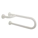 Wall mounted Grab Handle