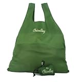 ChicoBag Reusable Shopping Bags: Green