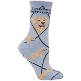 Golden Retriever Socks
