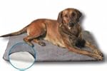 Trixie 28652 Thermodecke, 100 � 75 cm...