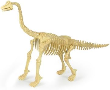 Dinosaurs 20" Skeleton Brachiosaurus Kit