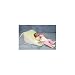 Preemie/Bassinet AR Pillow Wedge - Acid Reflux Pillow Wedge for Premature Babies 3-9 lbs. (Preemies) - Safely Elevate to a 30 Degree Angle - The Researched, Proven & Best Position to Relieve Colic & Reflux. For use during or after feeding. Place baby on wedge for 30-45 minutes after each feeding to help relieve acid reflux symptoms.