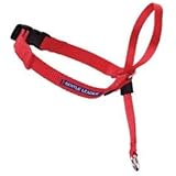Gentle Leader Quick Release Headcollar: Large, Red