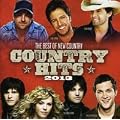 Country Hits 2013
