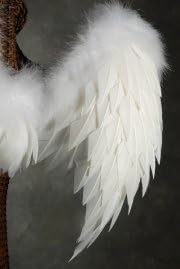 White Angel Wings 32 x 31 1/2