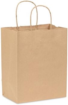 Bizitown Kit: Brown Kraft Paper Gift Bags, Medium 8x5x10 (12 Count)