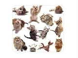 Cat Group Mouse Pad