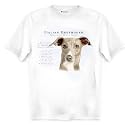 Italian Greyhound Human Trainer Adult T Shirt