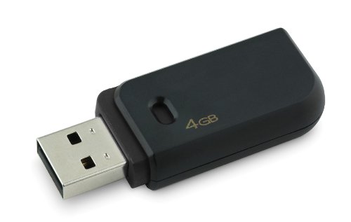 Kingston DataTraveler 112 - 4 GB USB 2.0 Flash Drive DT112K/4GBCL (Black)