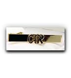 CTR (Gold) Tie Bar - A Christian Clothing Accessory - Christian Jewelry to Wear to Church - Great Gift Idea - Religious and for Anyone - Wonderful for Neck Ties and Clothing - Inexpensive Item - Religious Meaning and Purpose. Beautiful Temple in gold detail.