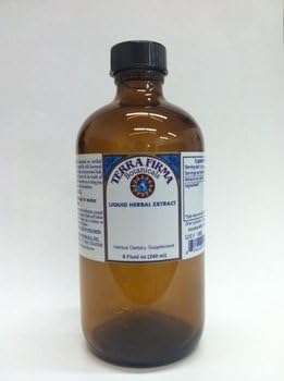 Elecampane Tincture- Liquid Herbal Extract: 8 oz