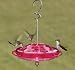 Pet Supplies : HummZinger Fancy Fuchsia