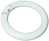 Produkt-Bild: Kaltlicht Leuchtmittel (Neonring) 22W f&uuml;r Lupenleuchte RT-201 und 8606