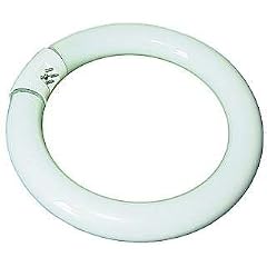 Kaltlicht Leuchtmittel (Neonring) 22W f�r Lupenleuchte RT-201 und 8606