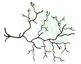 Twig Wall Jewelry Organizer