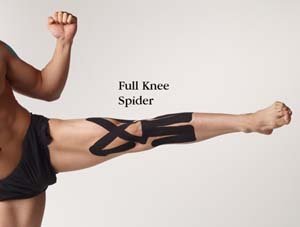 SpiderTech Upper Knee Spider, Color: Black (Pack of 5)