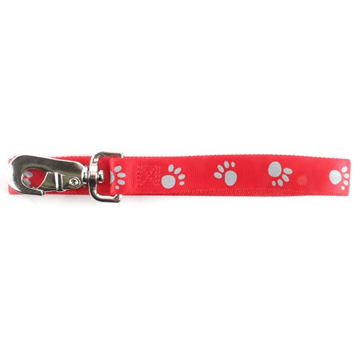 Dog Leash, 4'