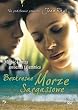 Wide Sargasso Sea (Region 2) Rafe Spall, Rebecca Hall