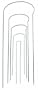 Gardman R741 18-Inch by 6-Inch Half Hoop Plant Supports