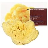 Korres Large Natural Sea Sponge for Body