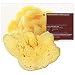 Korres Large Natural Sea Sponge for Body