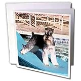 Dogs Schnauzer - Schnauzer - Greeting Cards-12 Greeting Cards with envelopes