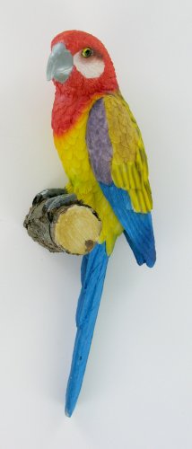 Tropical Parrot on Birch Wall Art Bathroom Decoration