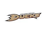 Snapshot: Vancouver Canucks at Anaheim Ducks, Semifinals Game 5