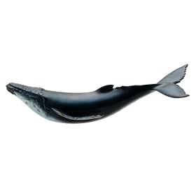 Click here to buy Humpback Whale Marine Life Toy Model by Favorite Collection.