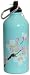 Green Bottle 20-Ounce Stainless Steel Water Bottle with Sport Top and Screw Top, Apple Blossom Design