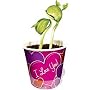 DuneCraft BE-0191 I Love You Bean Novelty Kit