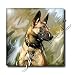 Dogs Belgian Malinois - Belgian Malinois - Tiles