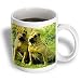 Dogs Chinese SharPei - Chinese SharPei - Mugs