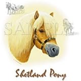 Youth Sweatshirt : Shetland Pony - Horse Breeds