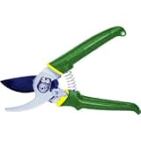 Shanghai Worth Garden #127855 Green Thumb 8 By Pruner
