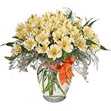 Lilies - Peruvian Dream