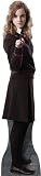 Hermione Granger Harry Potter Life-Size Cardboard Standup Standee Cutout Poster
