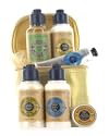 L`Occitane - Shea Holiday Essentials