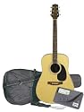 Takamine S35 Jasmine Acoustic Guitar Package (Natural)