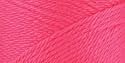 Simply Soft Brites 6 Oz. Yarn: Watermelon