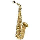 Stephanhouser SAS1000 Alto Saxophone ( Vintage Finish ) - B001AREX5U