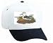 White Cap with shore, seabird, plover, nest, tern