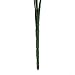Green Artificial Plant 6 Branches Parsley Grass Home Wedding Decor