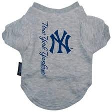 New York Yankees MLB Pet T-Shirt, Medium, Color:Gray