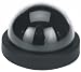Pro Series Dome Camera - Black and White