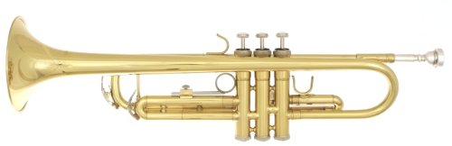 Noteworthy Bb Student Trumpet with Case, Mouthpiece