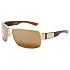 coach malia sunglasses Fox Meet